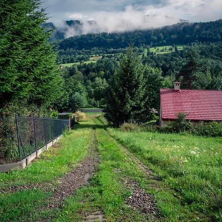 Caloroczny Kazanajka